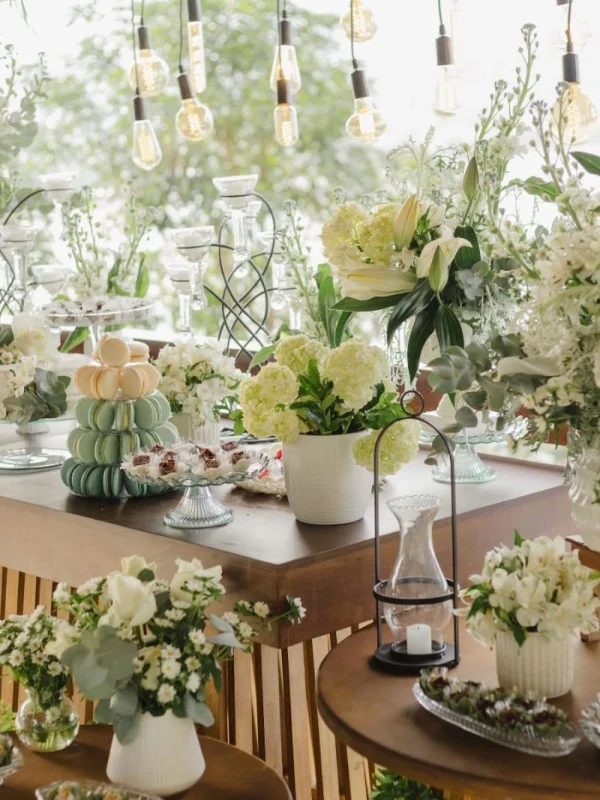 SaveClip.App_568935504_122180165876527985_3347598141234416398_n