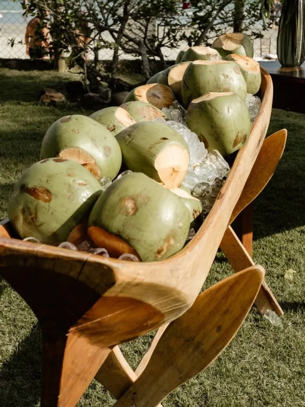 SaveClip.App_598255334_122187985460527985_224872177602208898_n