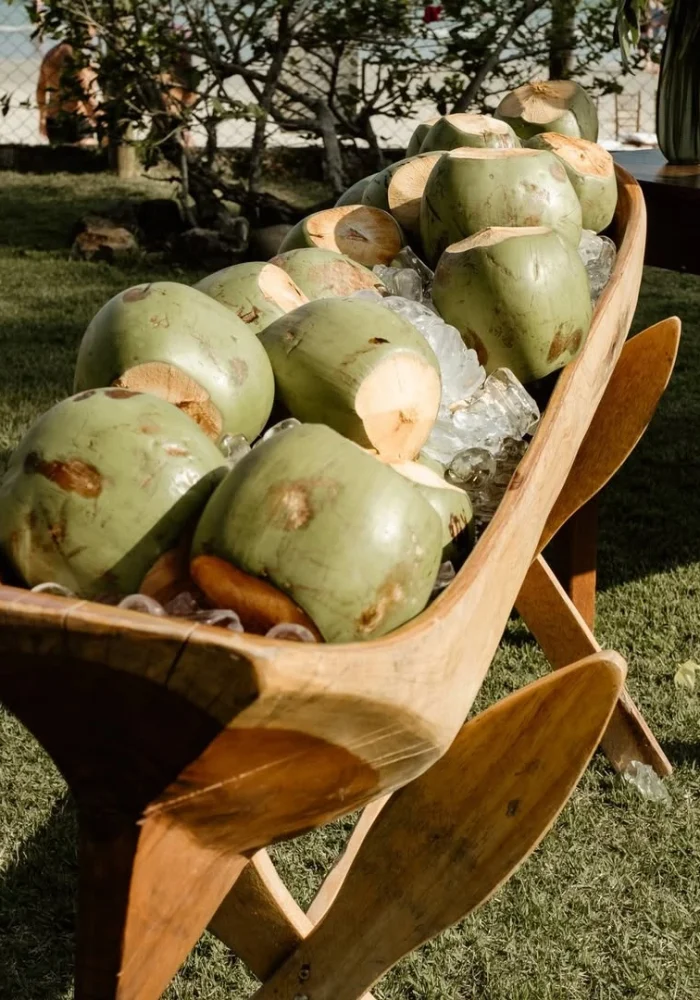 SaveClip.App_598255334_122187985460527985_224872177602208898_n