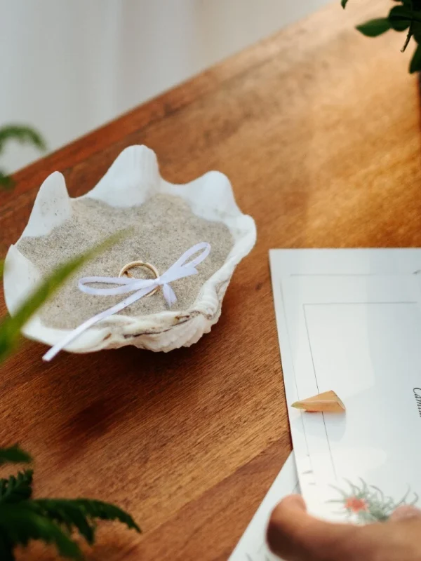 WhatsApp Image 2026-02-18 at 16.36.51 (1)