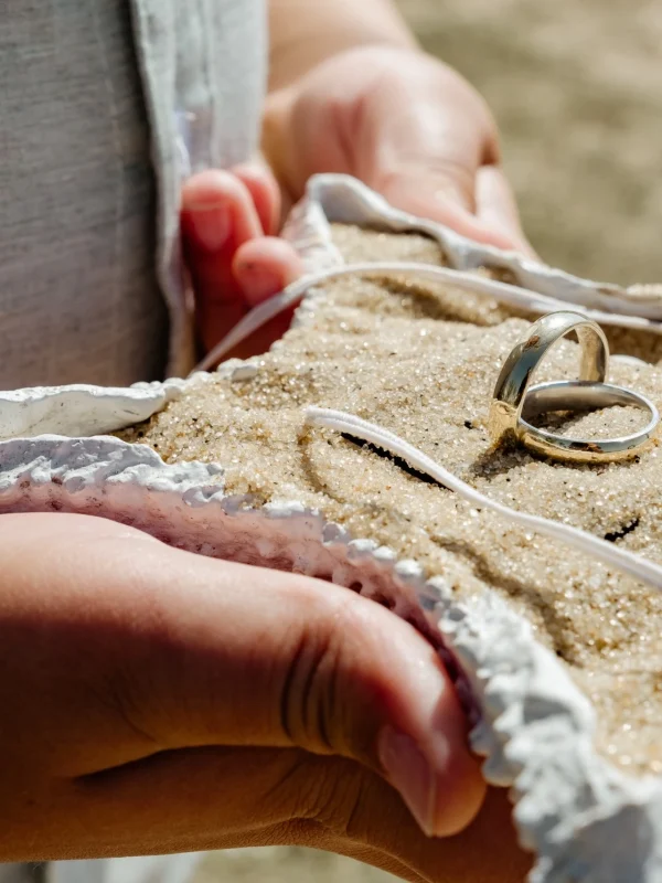 WhatsApp Image 2026-02-18 at 16.38.53