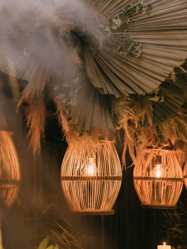 WhatsApp Image 2026-02-18 at 16.40.06 (1)