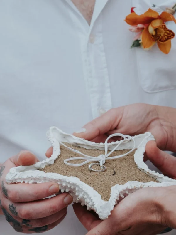 WhatsApp Image 2026-02-18 at 16.41.36