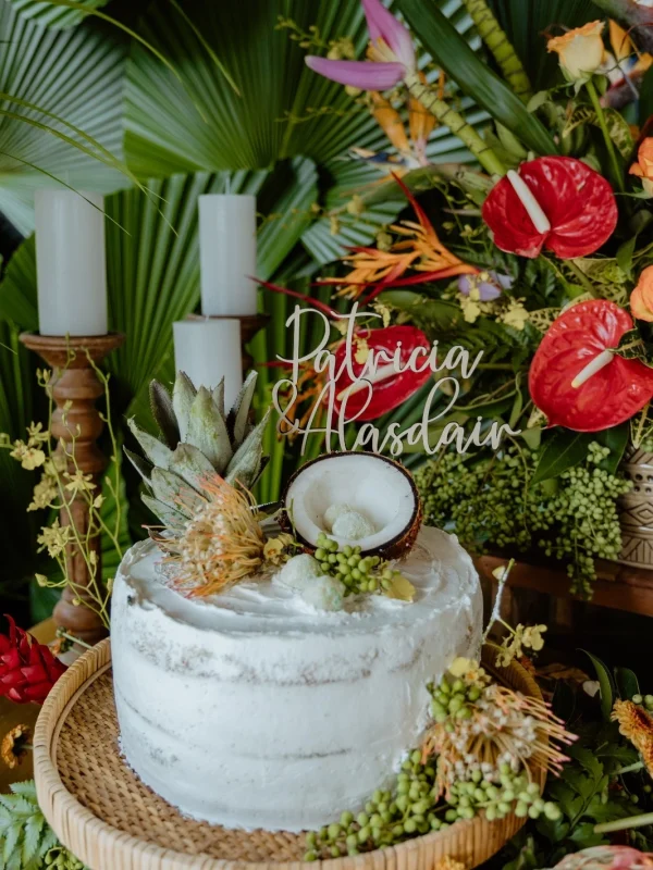 WhatsApp Image 2026-02-18 at 16.42.25