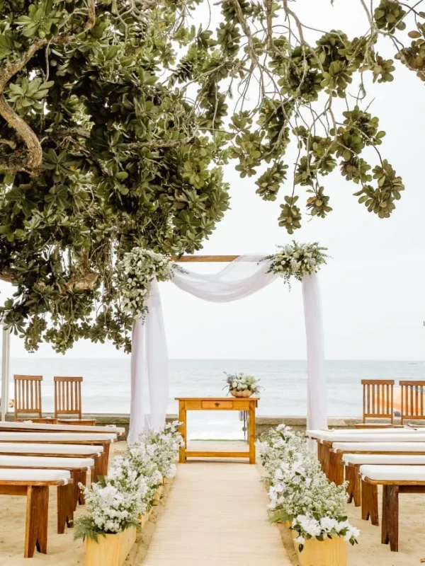 WhatsApp Image 2026-02-18 at 16.46.29 (2)